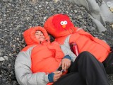 Pachi y Elmo descanzando en la playa del Grey